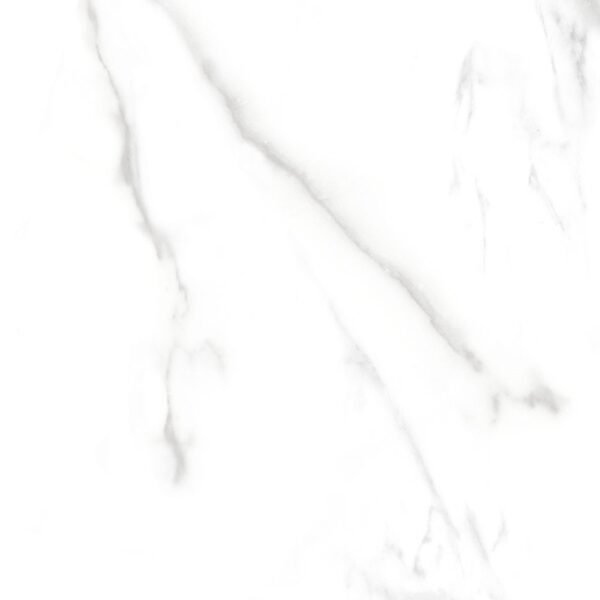 ROCHA FORTE CARRARA